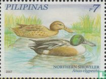 Ducks