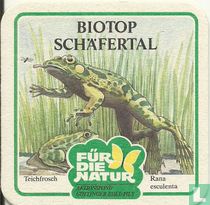 Teichfrosch für die Natur / Göttinger Edel-Pils