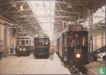 50 jaar NVBS 