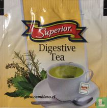 Digestive tea