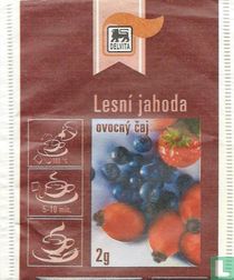 Lesní jahoda