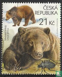 ours bruns