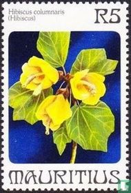 Hibiscus columnaris