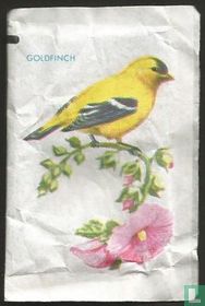 Goldfinch