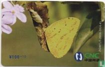 Butterfly - Coca Cola