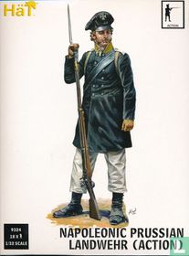 Napoleonic Prussian Landwehr (Action)