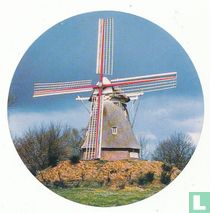 Bona acheter