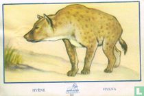 Hyène - Hyena