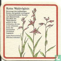 Rotes Waldvöglein