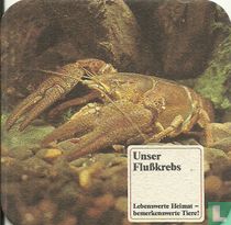 Unser Flusskrebs