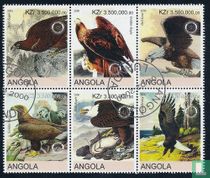 Oiseaux de proie