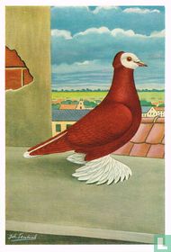 Thuringer Witkop