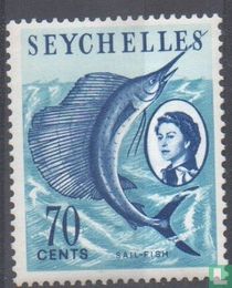 Sail-fish