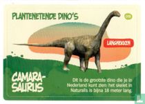 Camarasaurus