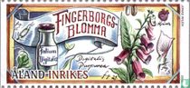 Medicinal Herbs