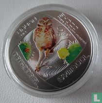 Aruba 5 florin 2012 (PROOF) "Shoco-vogel"