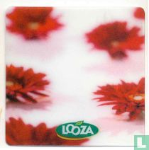 Looza