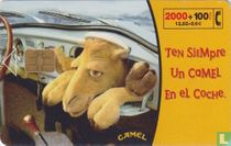 Ten Siempre Un Camel esperándote.
