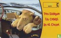 Ten Siempre Un Camel esperándote. 