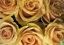 00976 - thinking of you