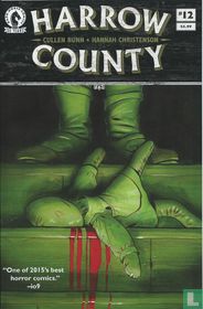 Harrow County 12