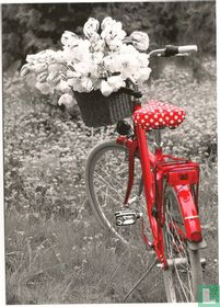 Untitled (45387)