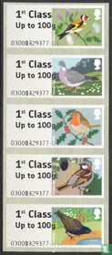 Birds of Britain