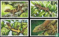 Geckos 