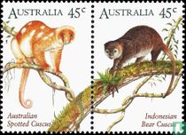 Marsupial 