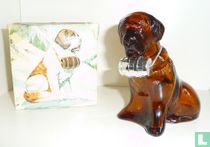 St. Bernard 