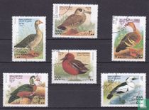 oiseaux