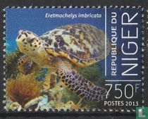 Karettschildkröte