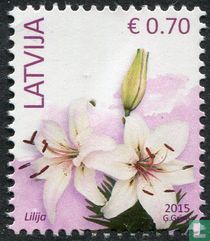 Blumen kaufen