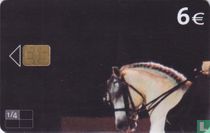 Caballo Español