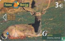 Gamo [Dama, dama]
