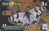Mariposa Melanargia [Melanargia Lachesis]