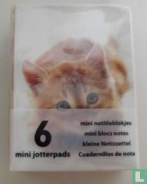 6 mini notitieblokjes
