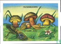 Champignons