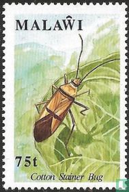 Les insectes
