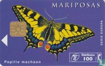 Mariposas Papilio machaon
