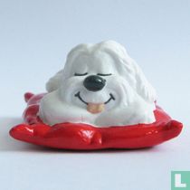 Samson sur un oreiller
