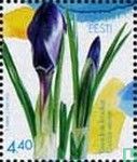 Fleurs