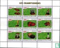mushrooms for sale