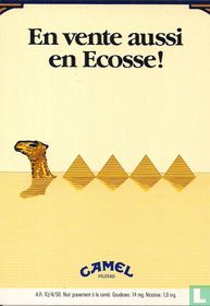 0031a - Camel "En vente aussi en Ecosse"