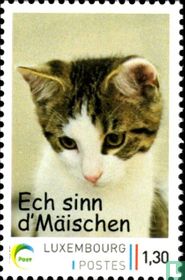 10 ans de timbres personnalisés