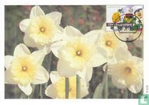 Timbres de l’été acheter