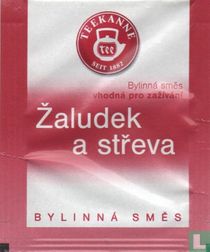 Zaludek a streva  
