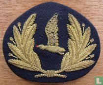 Emblème de casquette RLD