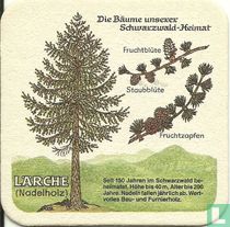 Lärche