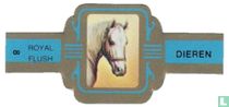 [Cheval]